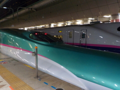 U20