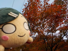 紅葉