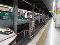 DSCN3957