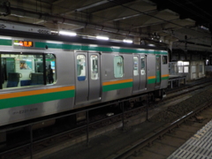 E231