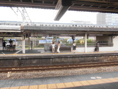 CIMG2311