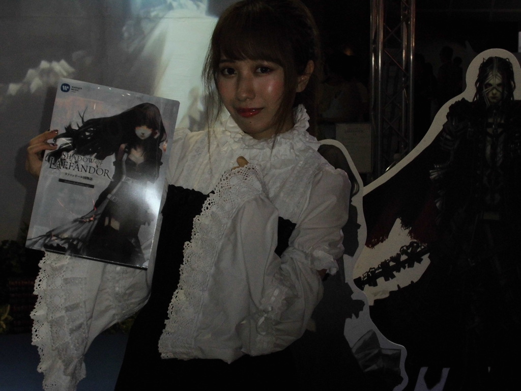 TGS2016 コンパニオン