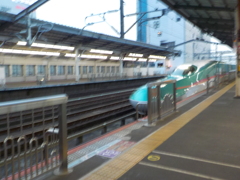 U31