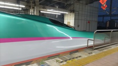 U31