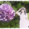 紫陽花