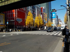 Akiba