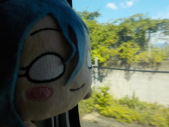 Shiki