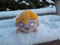 かのんちゃん