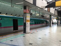 U36