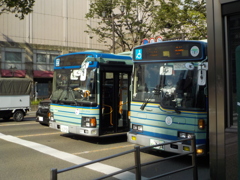 仙台市営バス