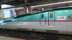 U49