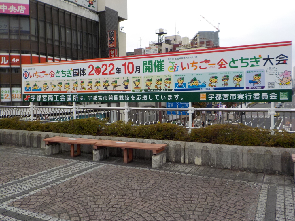DSCN5262