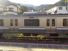 E217系 疎開