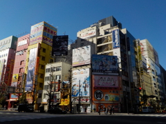 akiba