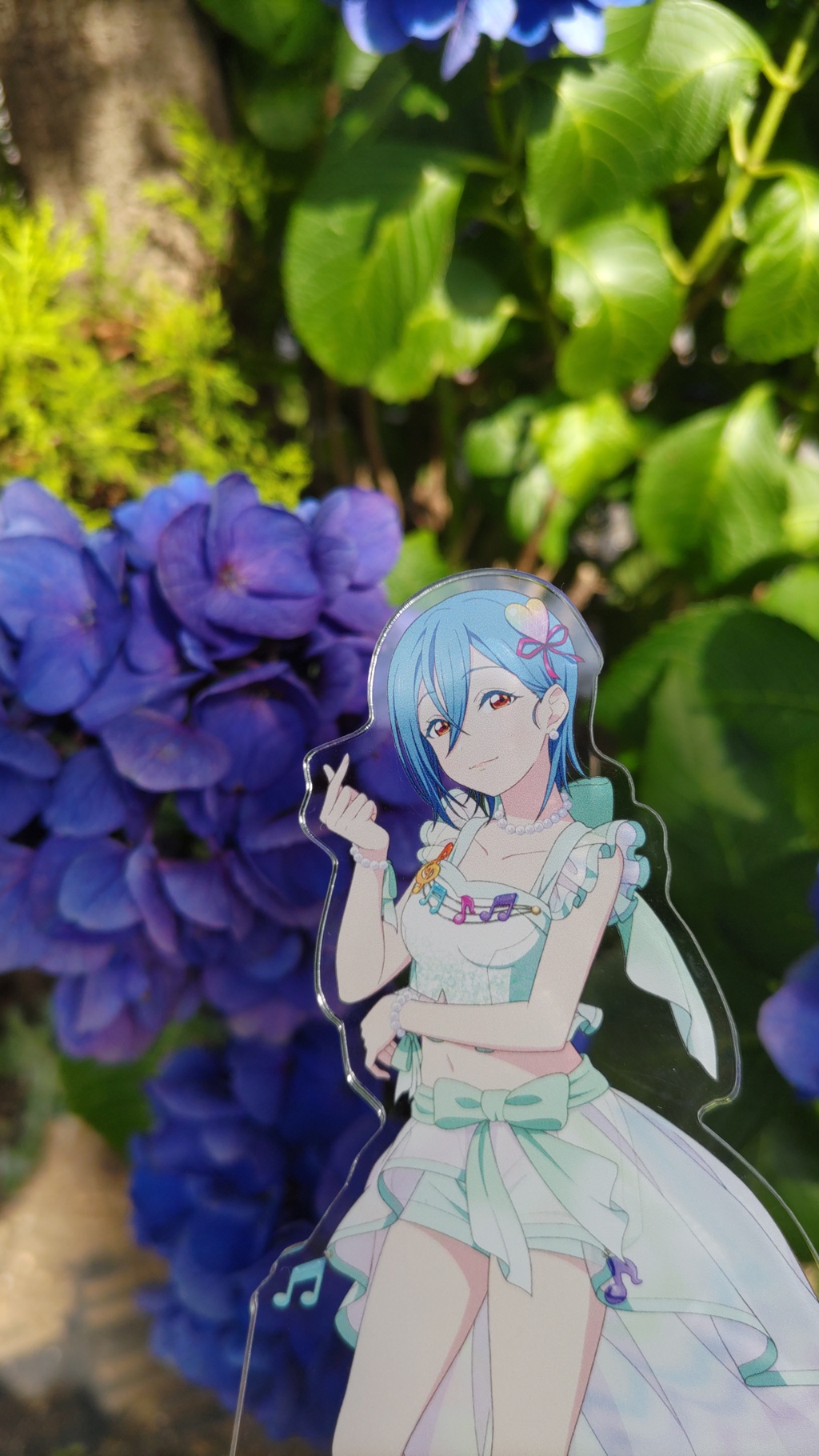hydrangea