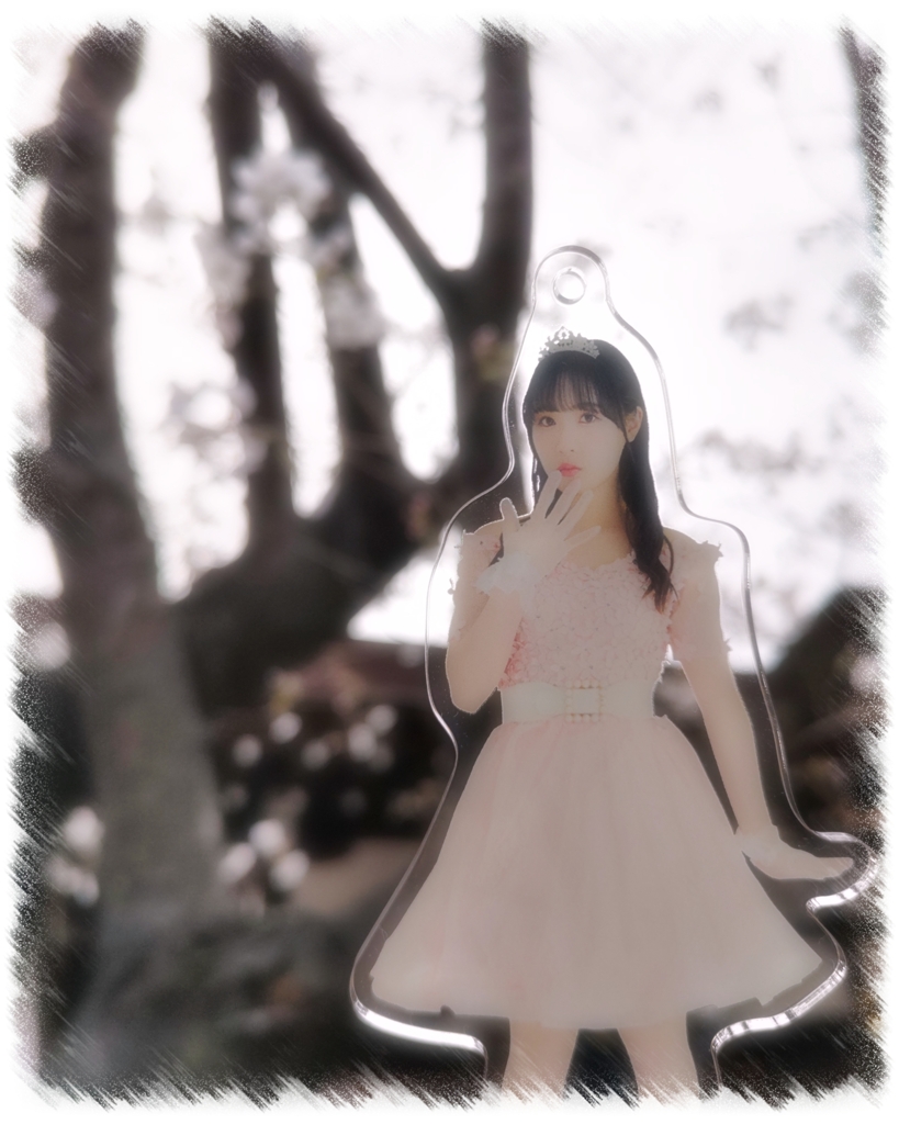 Sakura!