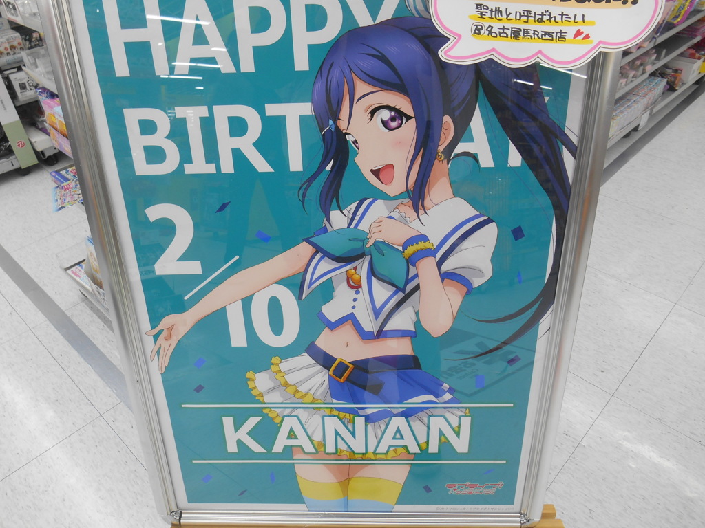 DSCN6624