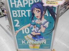 DSCN6624