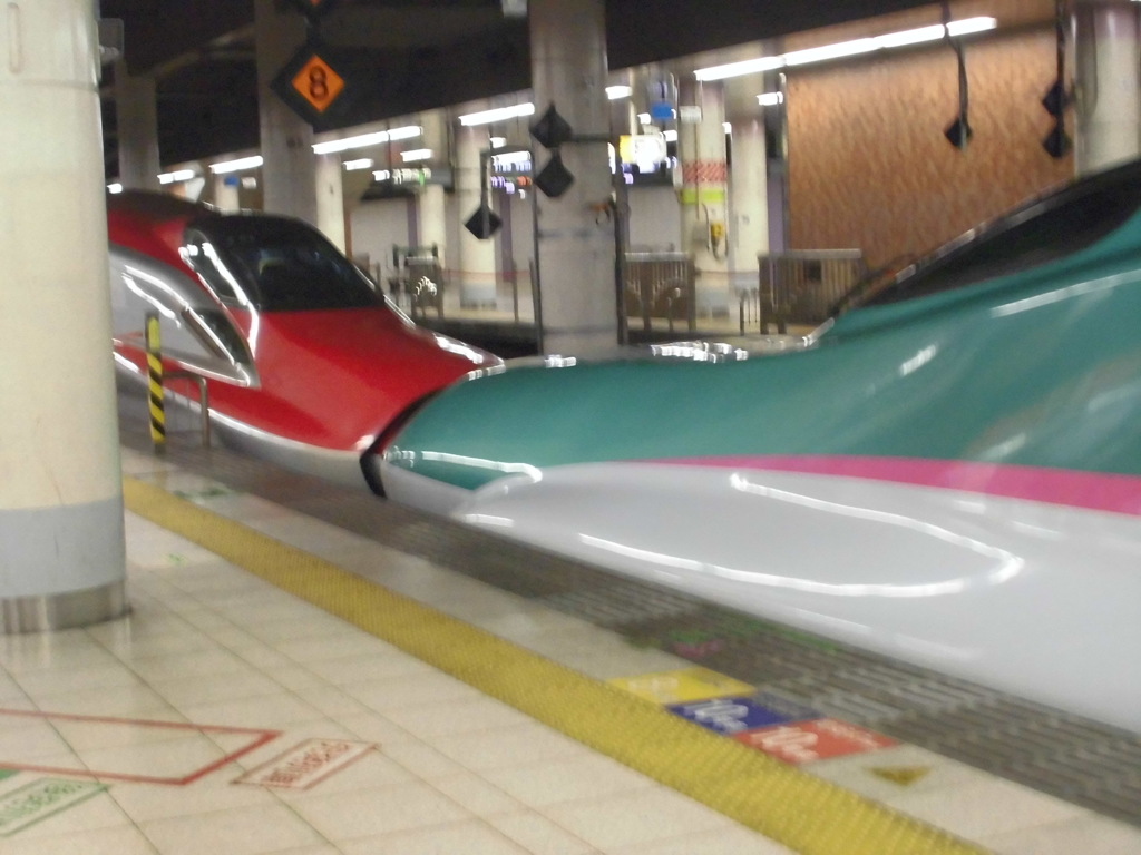 E5系U編成+E6系Z編成 はやぶさ・こまち31号