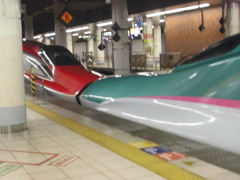 E5系U編成+E6系Z編成 はやぶさ・こまち31号