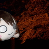 紅葉 ライトアップ