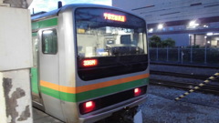 E231系1000番 上野東京ライン小金井行 沼津駅 