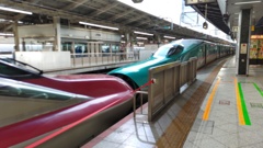 STORYPIC_00002259_BURST230307150900
