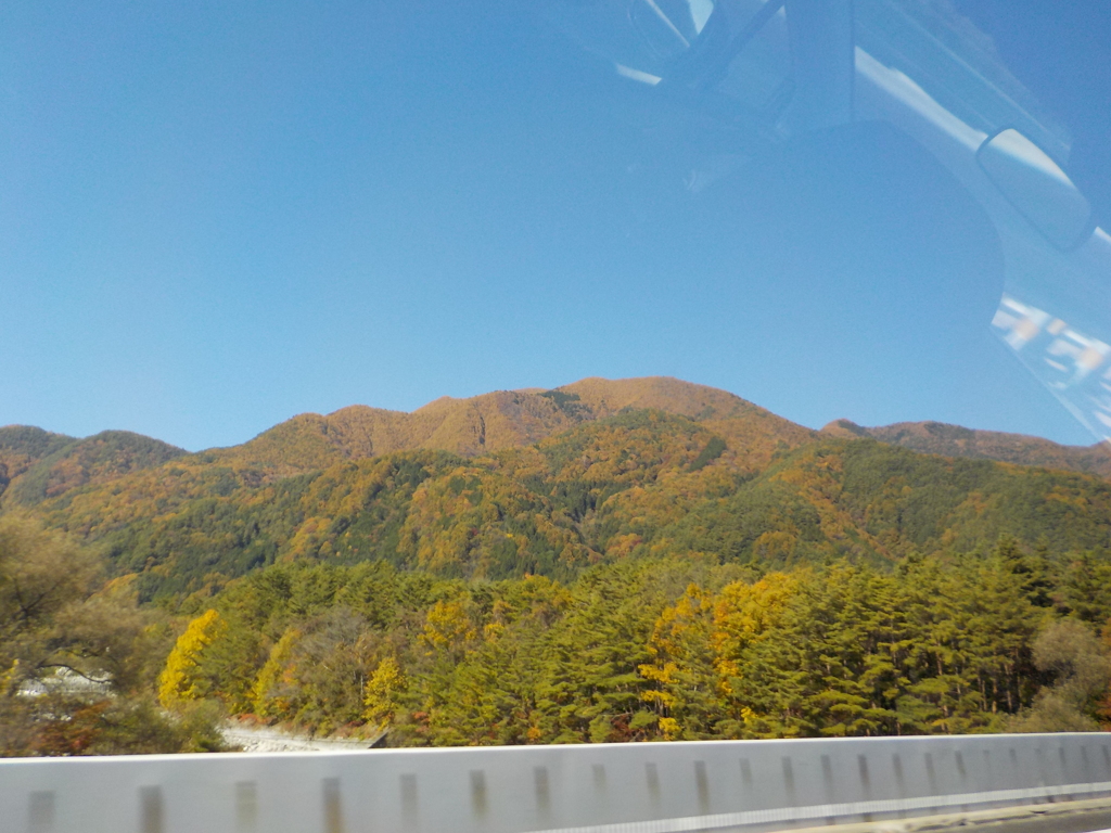 紅葉