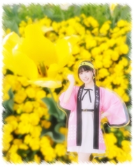 Yellow Flower