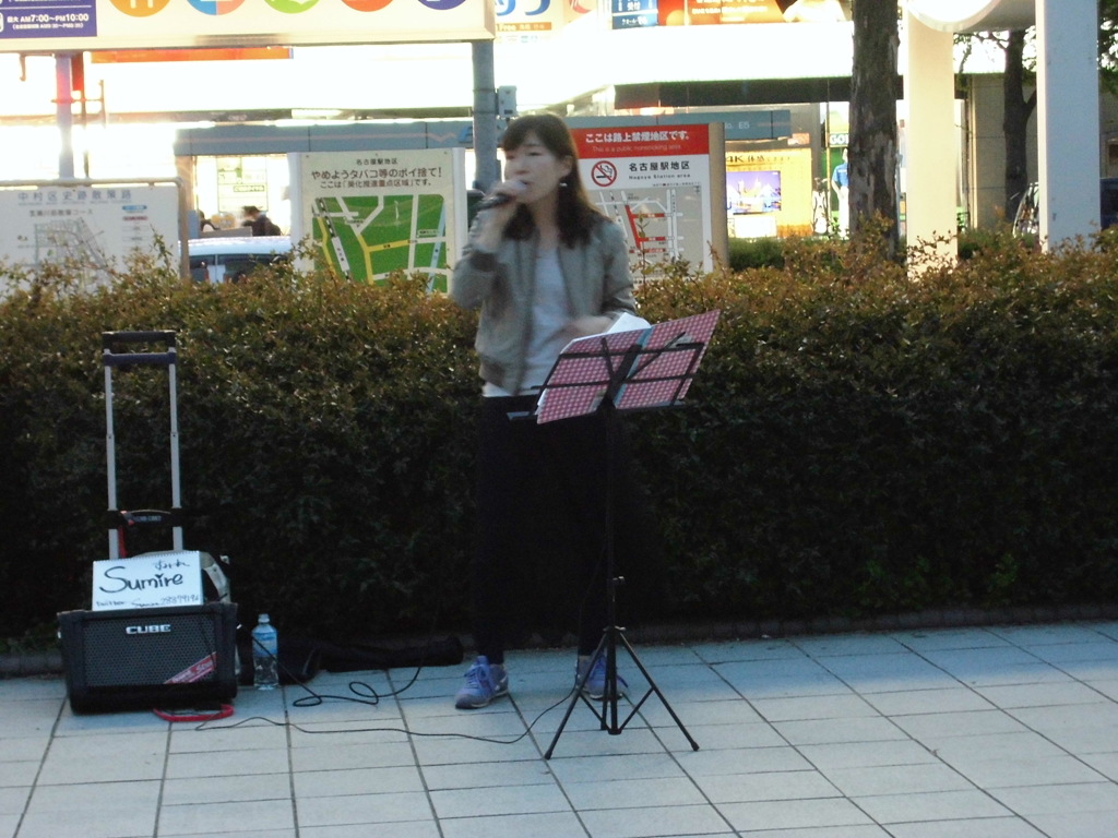 すみれ-2