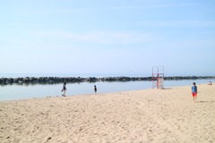 Toronto island 