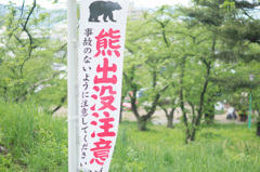 小学四年生5月 熊は身近に