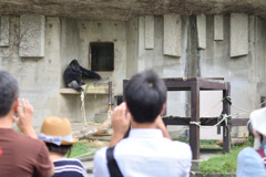 東山動植物園～みんなイケメンに夢中～