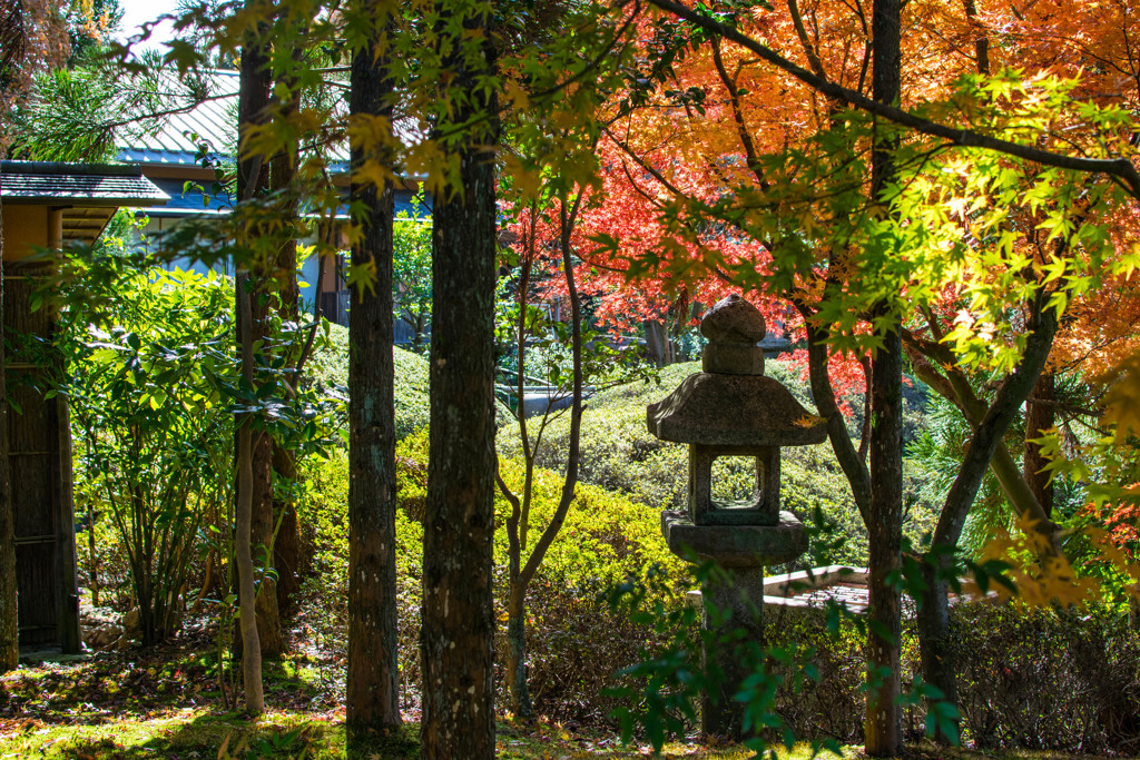 庭園