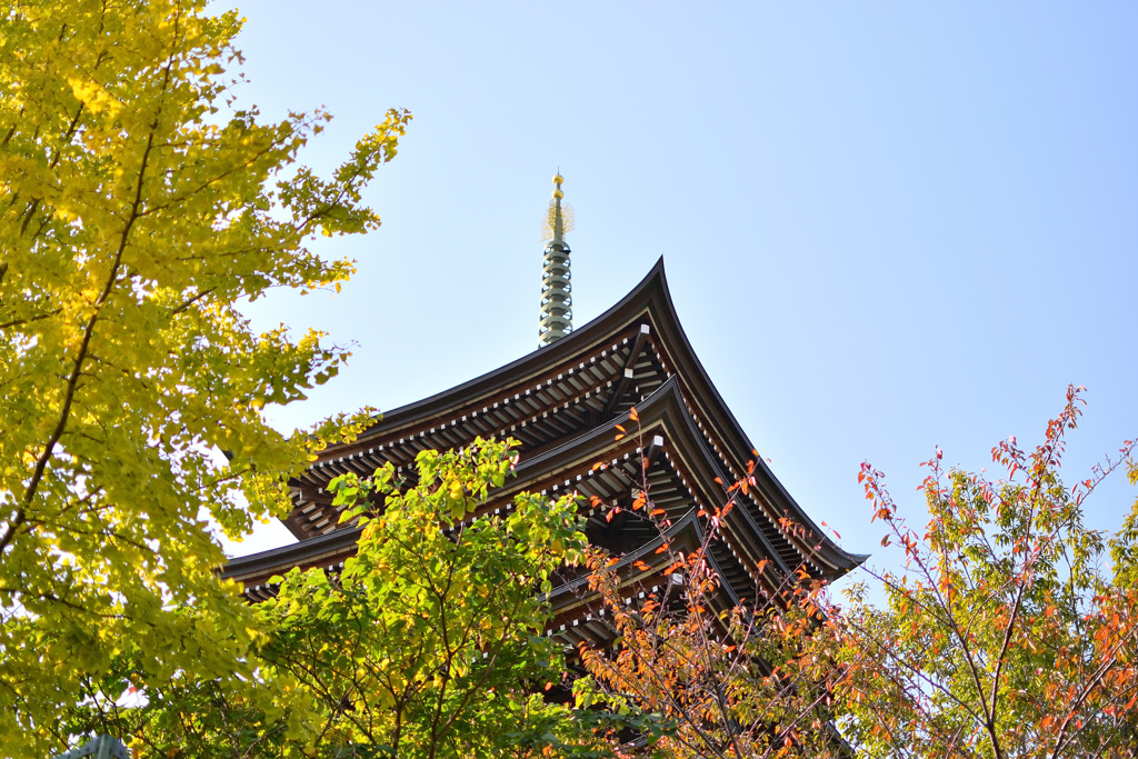日泰寺の秋