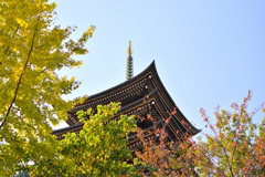 日泰寺の秋