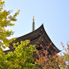 日泰寺の秋