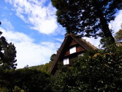 秋晴れ