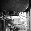 大須観音～静寂～