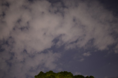 Midnight Cloud