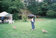 かも