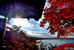 紅葉と富士山と太陽