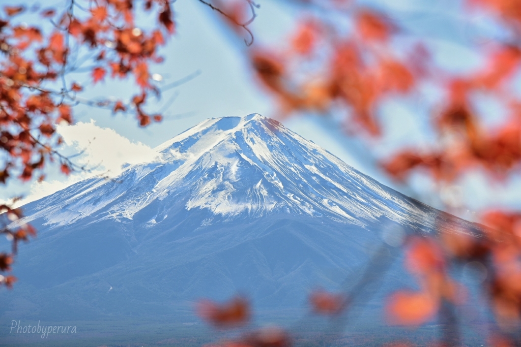 富士山と紅葉