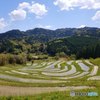 はじまる大山千枚田