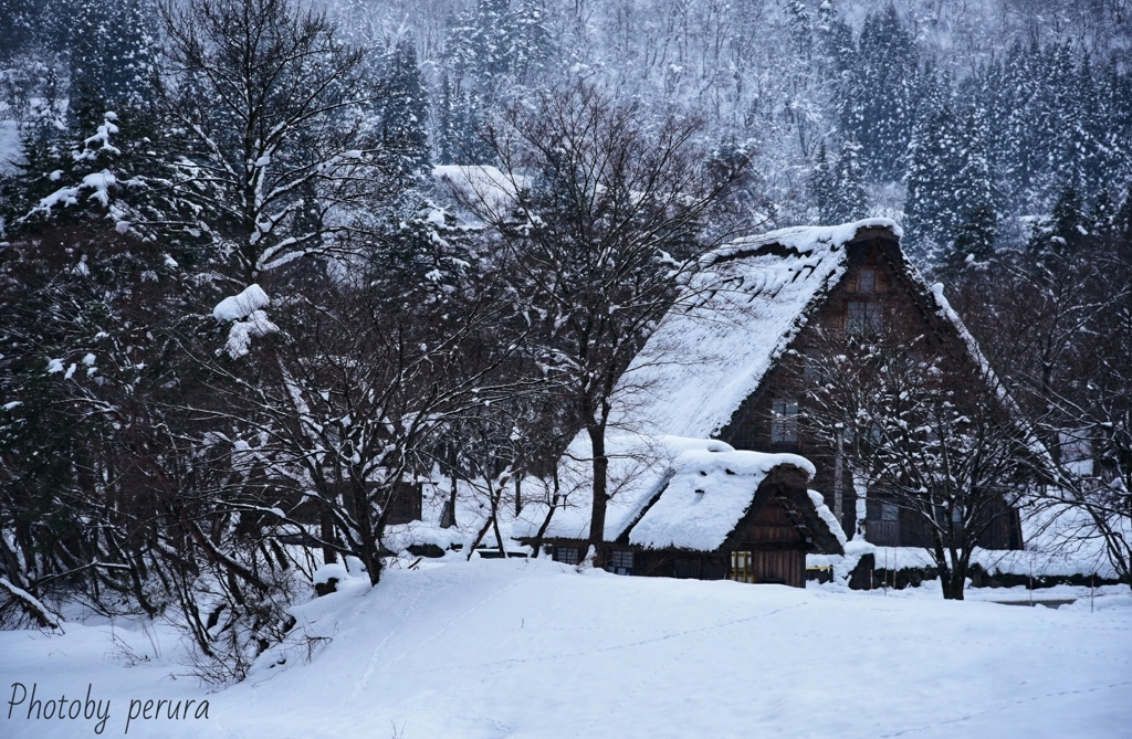 白川郷の雪景色