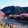 河津の風景4