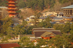 夕刻の宮島②