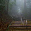 参道②-狗留孫山-