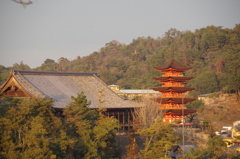 夕刻の宮島①