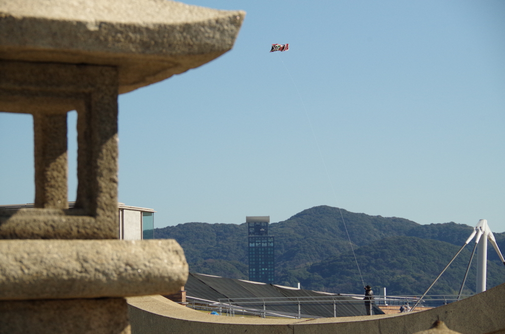 空高く